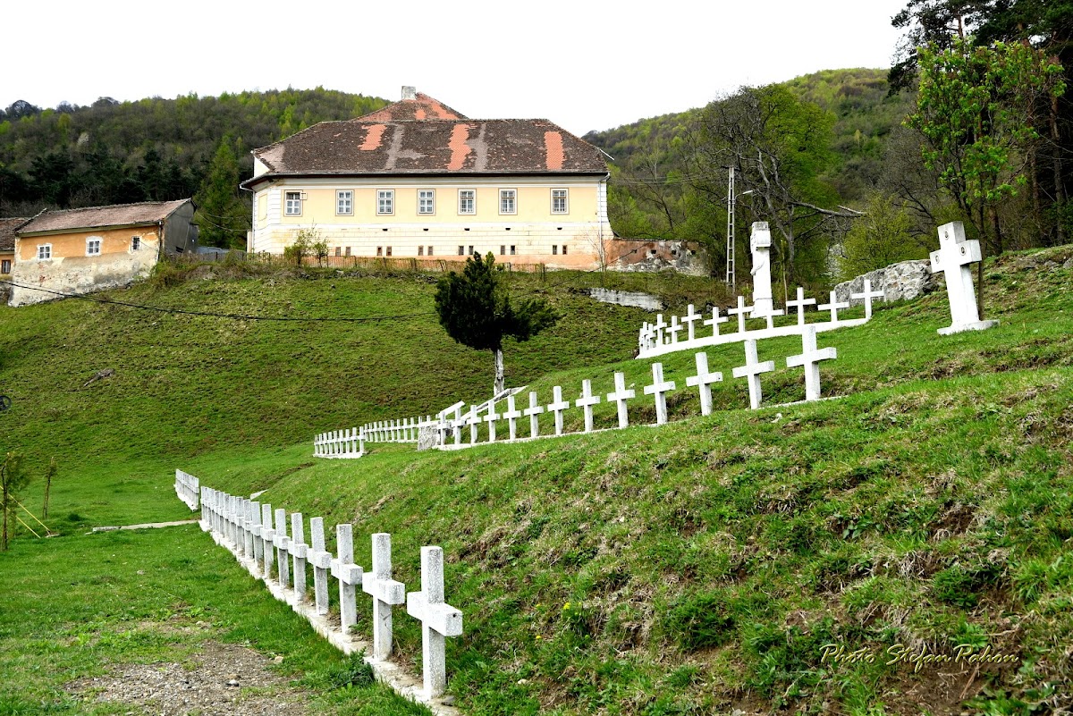 Castelul Turnu Roșu din Boița - foto 4