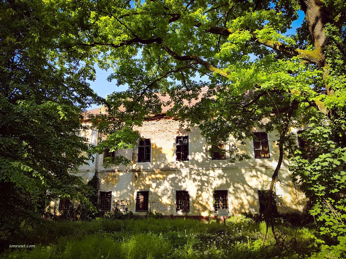Castello Vecsey - foto 5