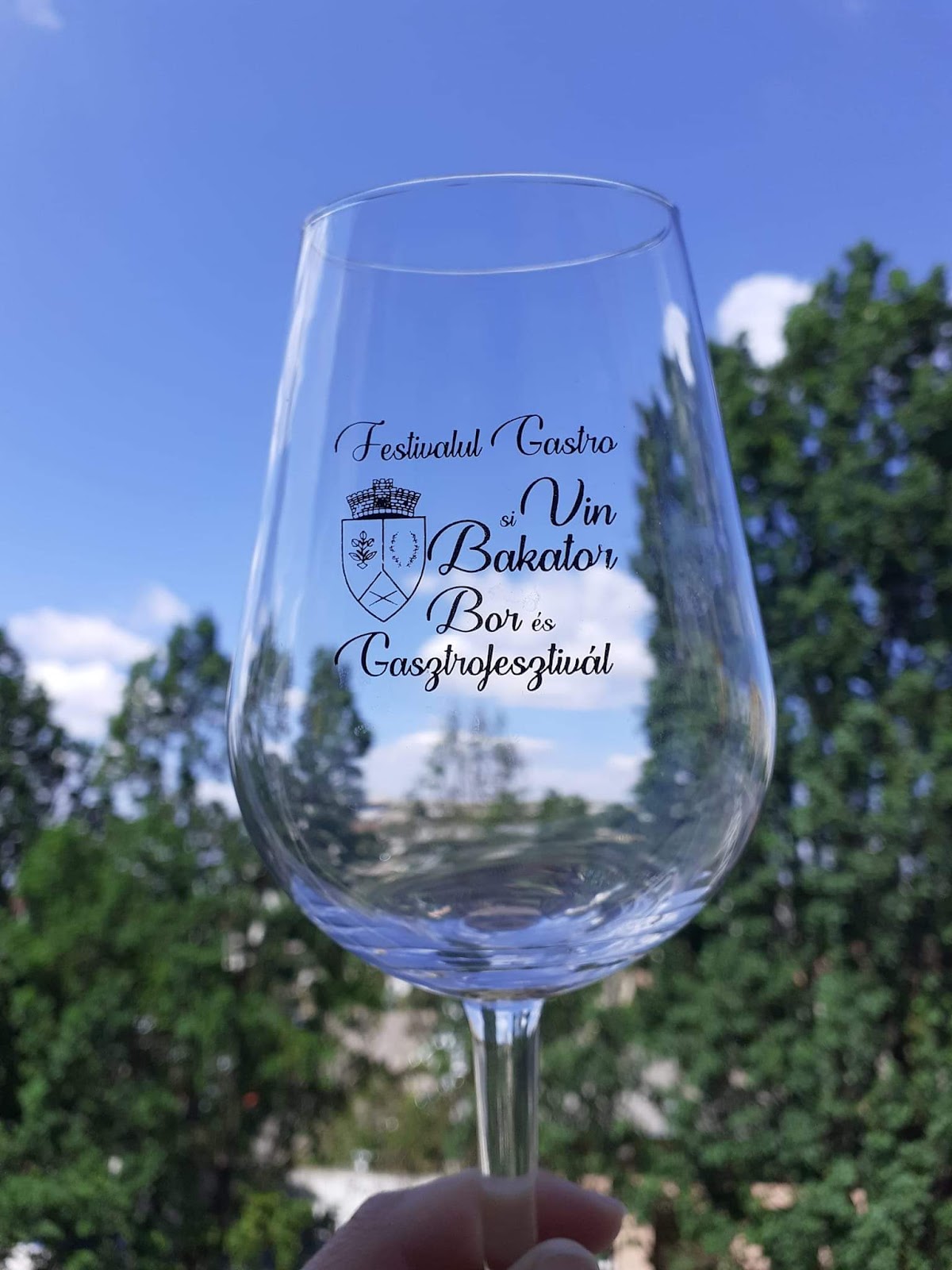 Castelul Zichy - foto 5