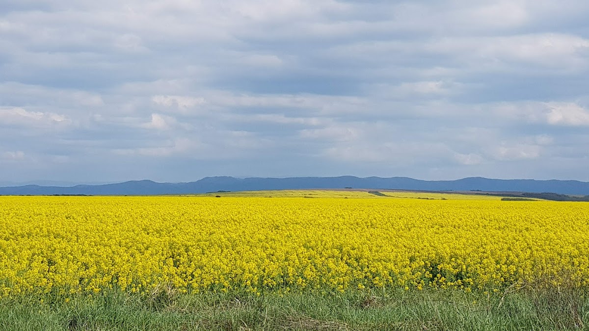 Bersobis Római Erőd