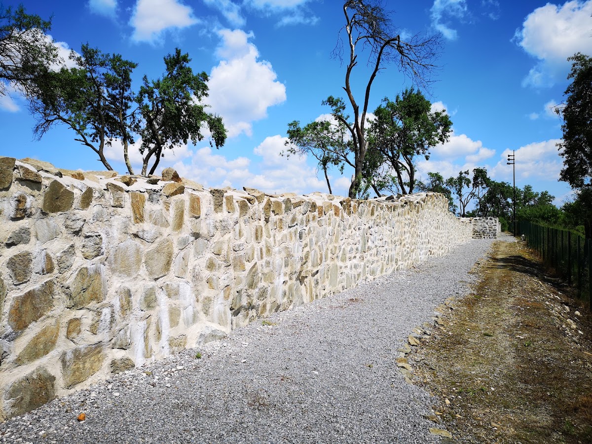 Castrul Roman de la Buciumi - foto 5
