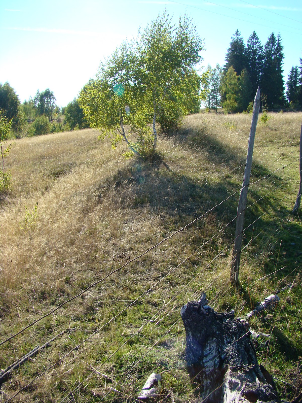 Römisches Fort von Luncani - Târsa - foto 2