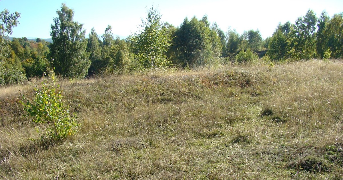 Römisches Fort von Luncani - Târsa - foto 4