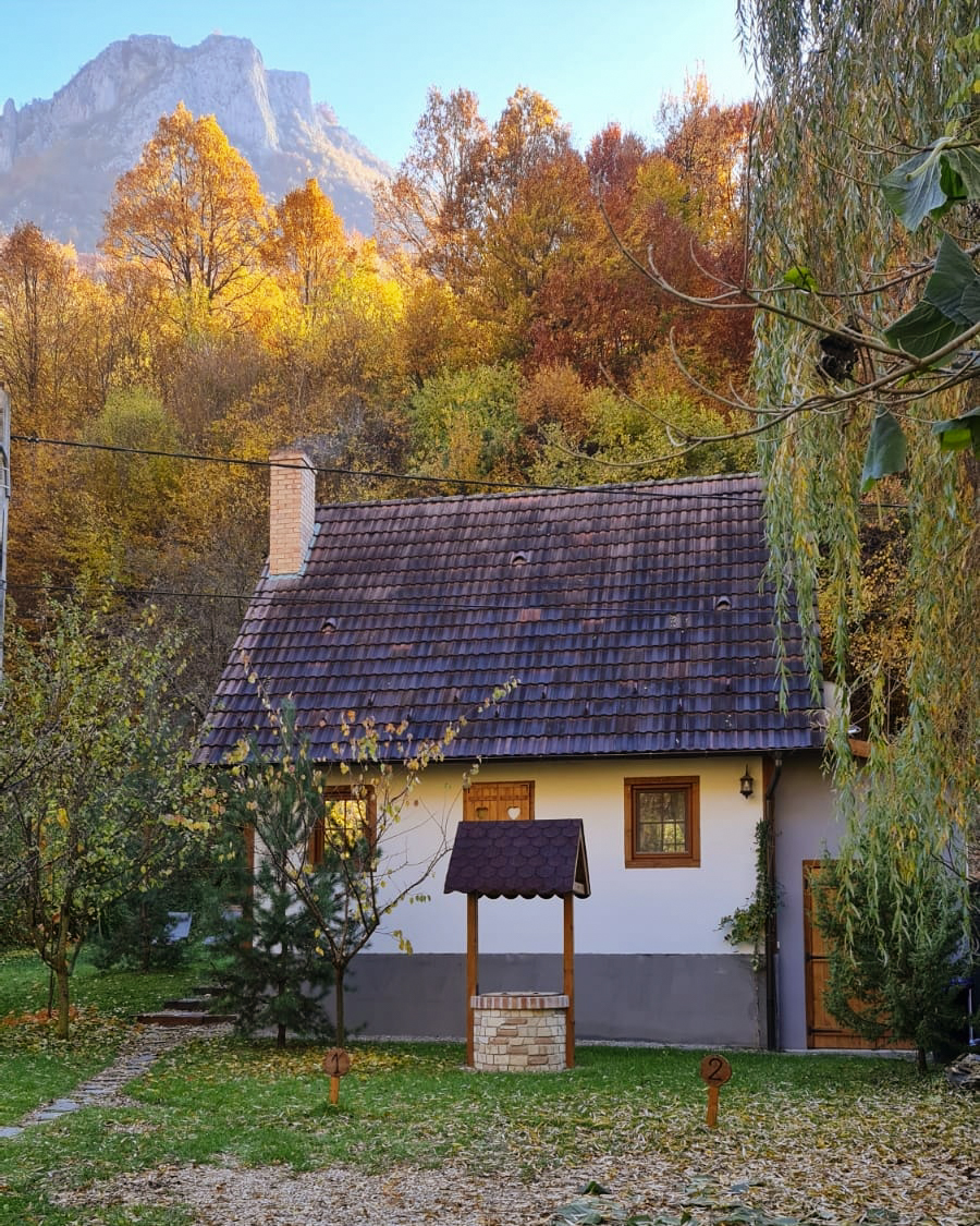 Casuta cu Alune - Cabana Valea Manastirii - Muntii Apuseni