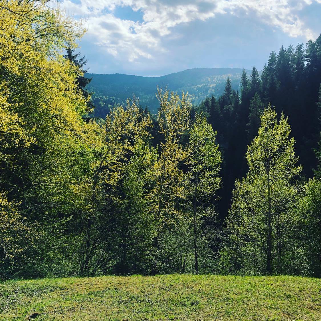 Casuta de Vacanta - Poiana Teiului