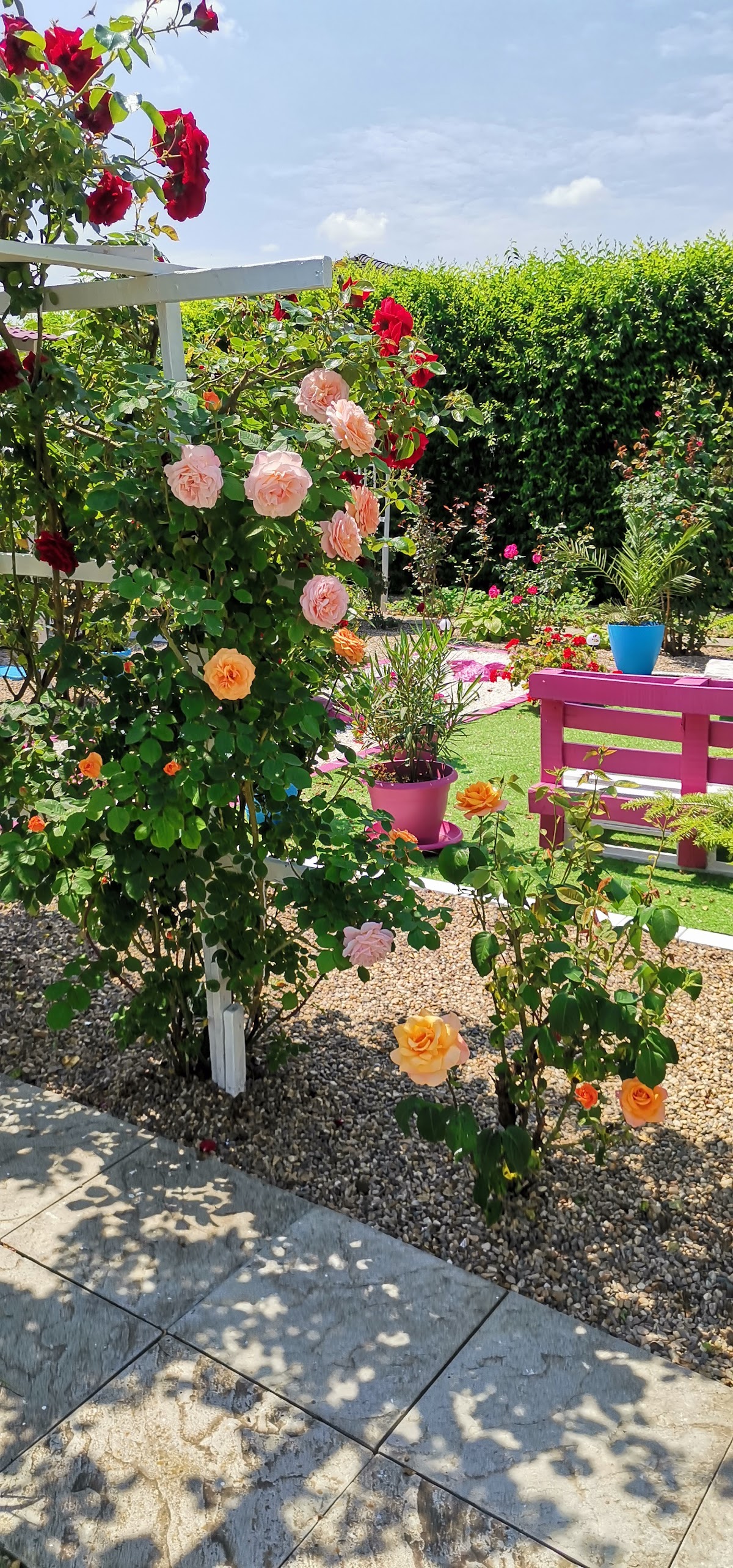 童话小屋 - foto 4