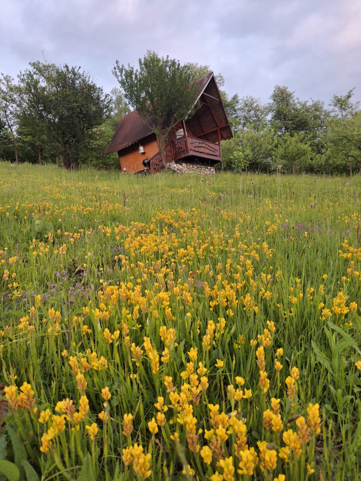 Rustic Cottages Bănița