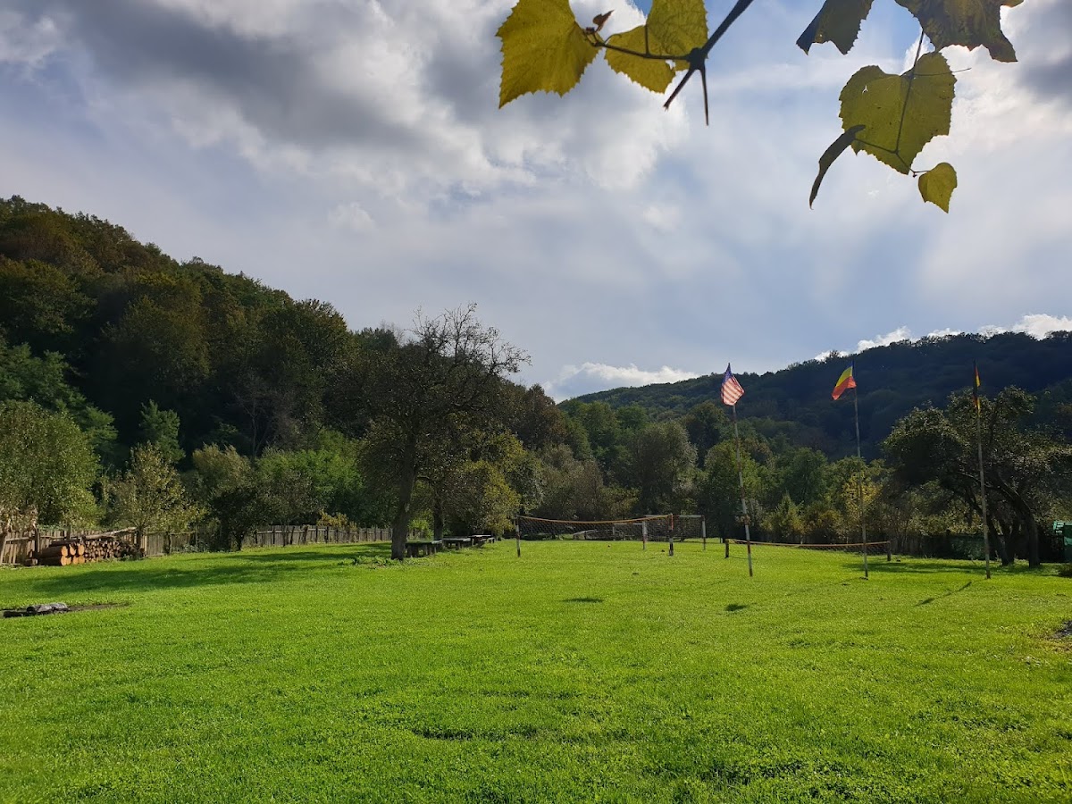 Casutele din Grosi