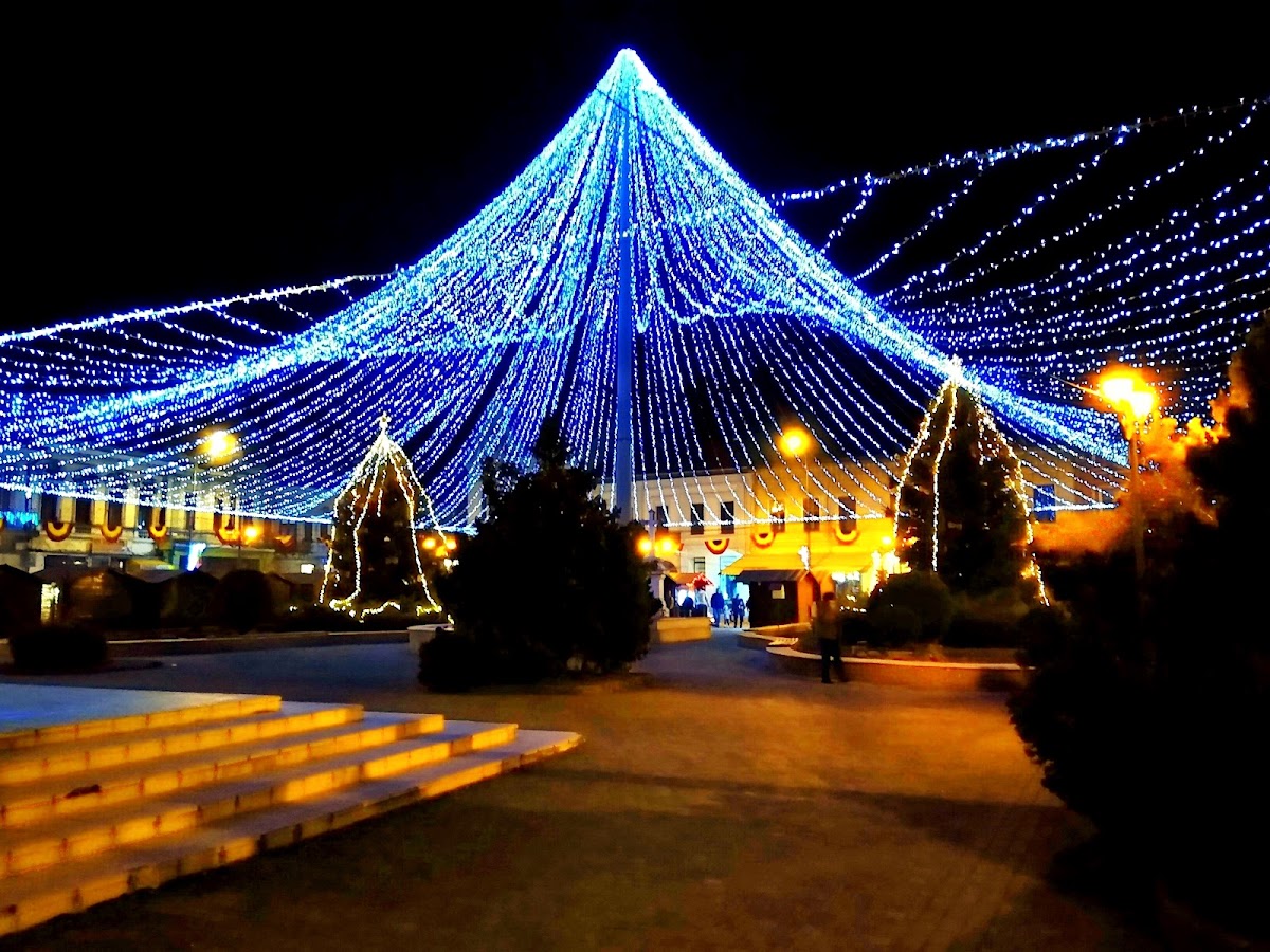 Catedrala Greco-Catolică Coborârea Sfântului Spirit - foto 4