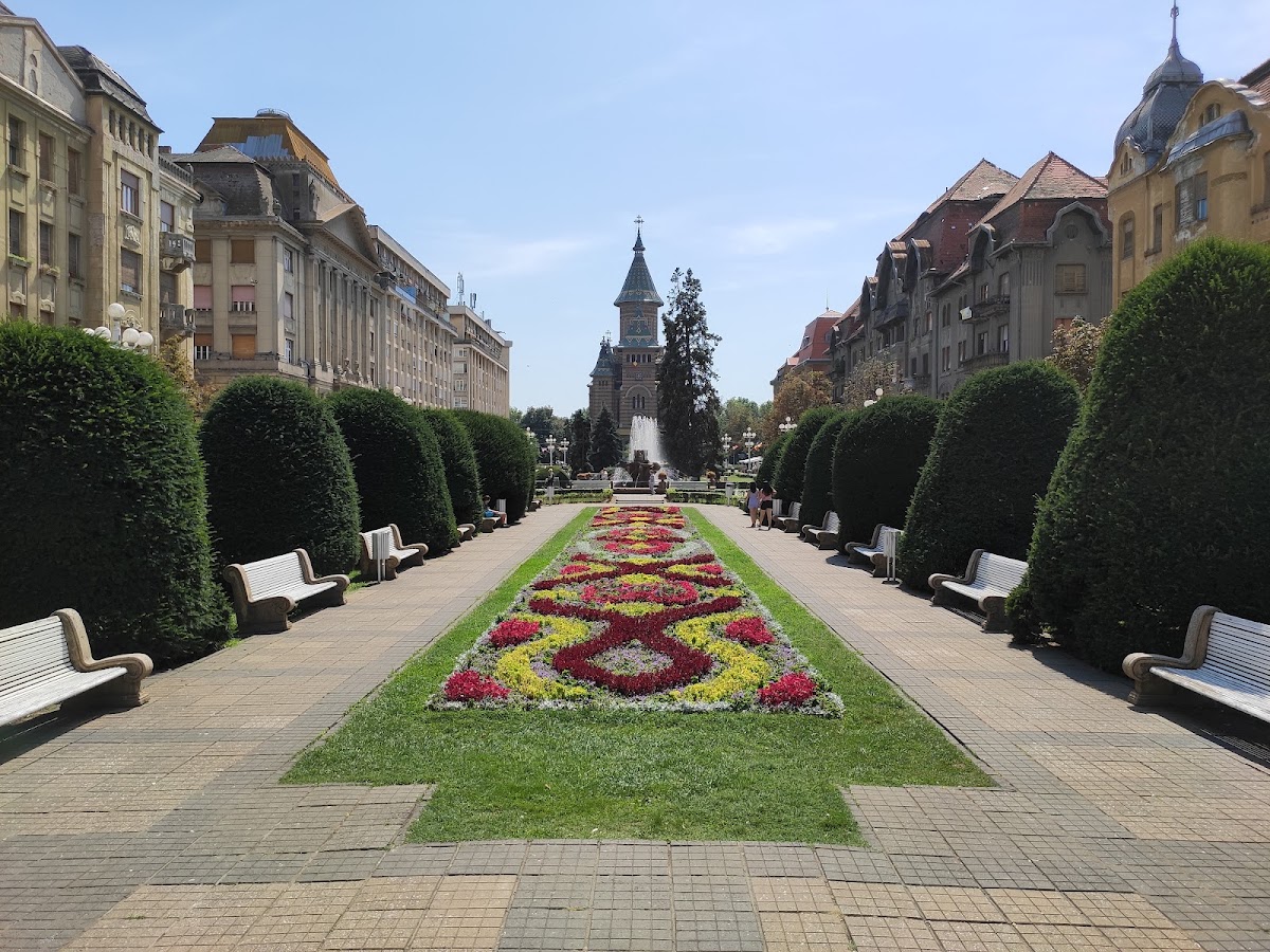 Catedrala Mitropolitană „Sfinții Trei Ierarhi” - foto 4
