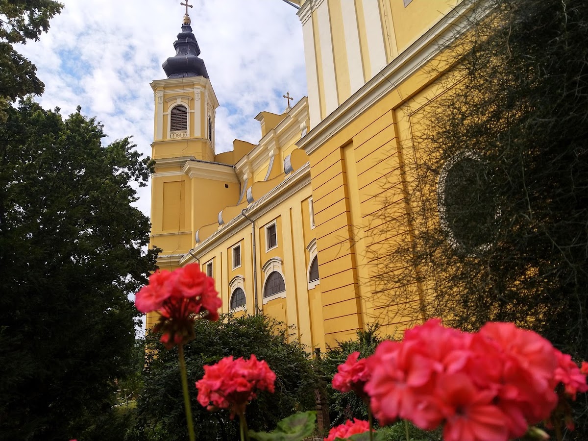 Römisch-Katholische Kathedrale - foto 4