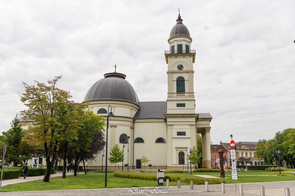 Catedral Católica Romana "Ascensión" Satu Mare - foto 2