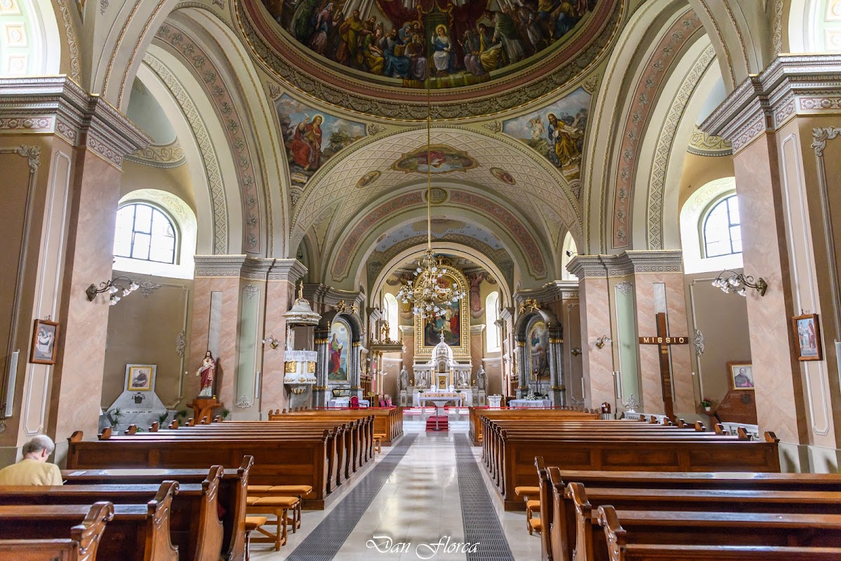 Catedral Católica Romana "Ascensión" Satu Mare - foto 3