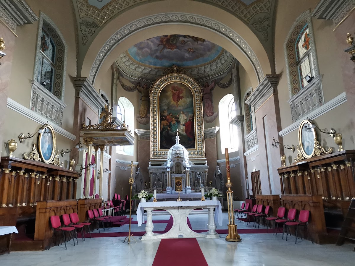 Catedral Católica Romana "Ascensión" Satu Mare - foto 4