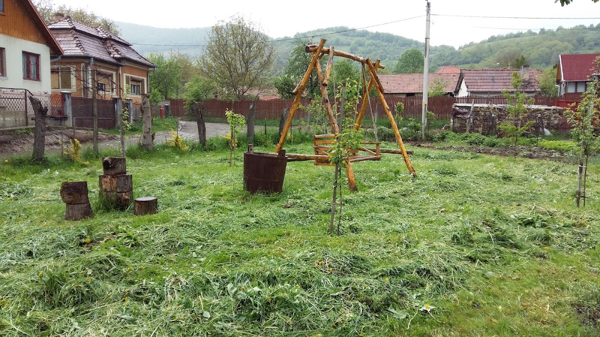 Cazare Alba Pensiunea Valisoara, Vălişoara