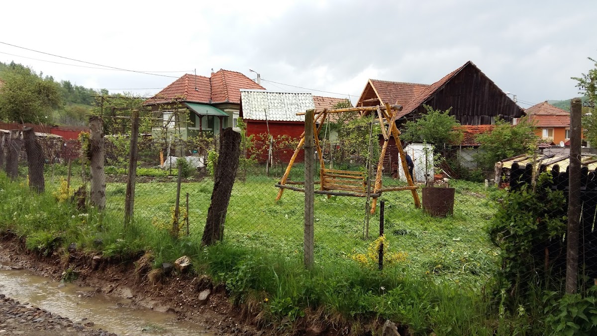 Accommodation Alba Pensiunea Valisoara