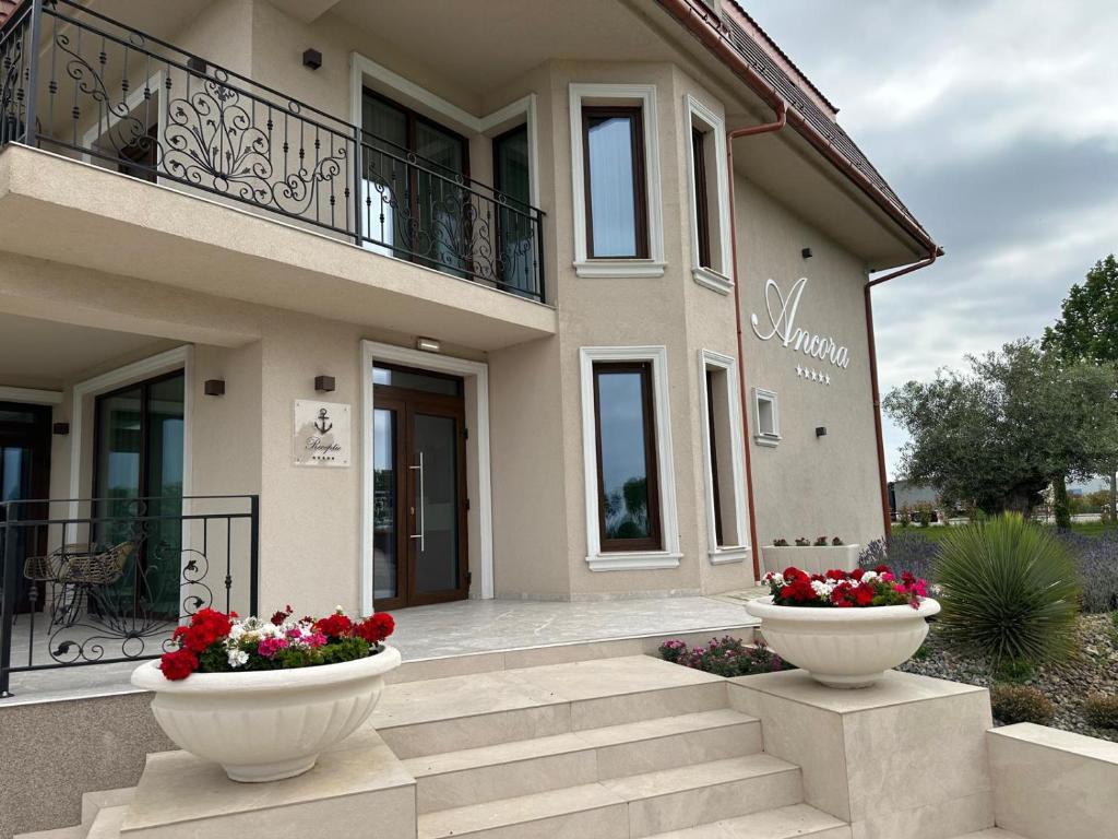 Cazare Ancora Salonta, Salonta