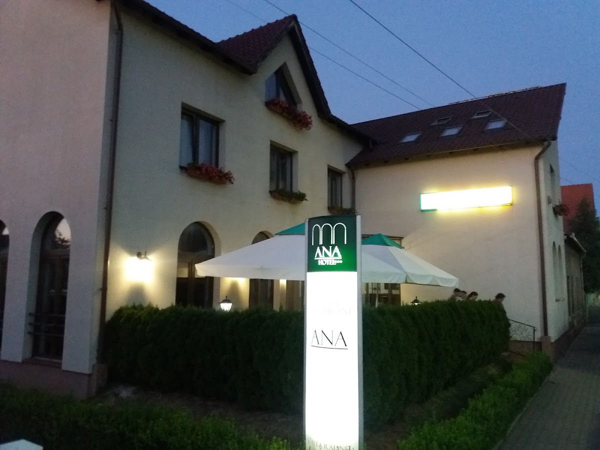 Cazare Arad | Ana Hotel