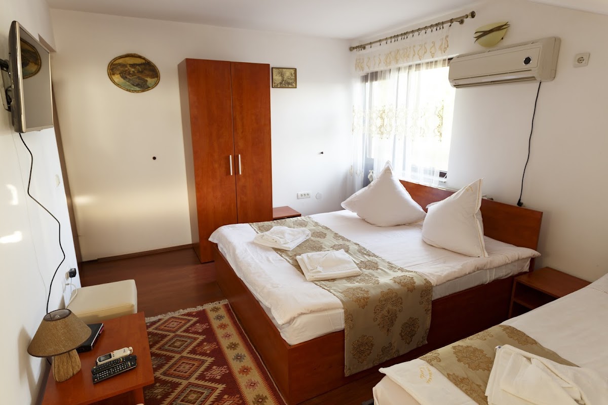 Cazare Crisan Pensiunea Karla - foto 2