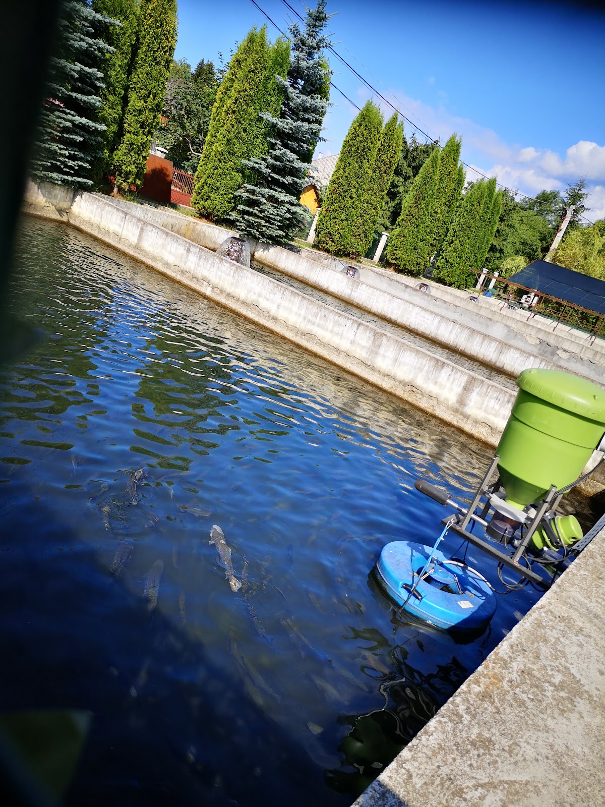 Cazare cu Restaurant Borsa Complex Pescăresc Gura Repezii - foto 3