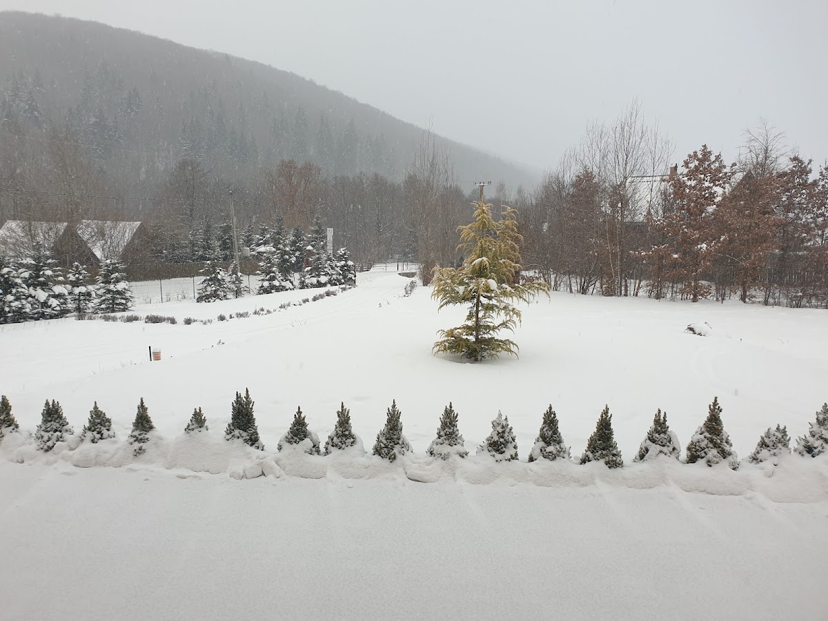 Irgó Guesthouses - Cazare Izvoare Harghita - foto 5