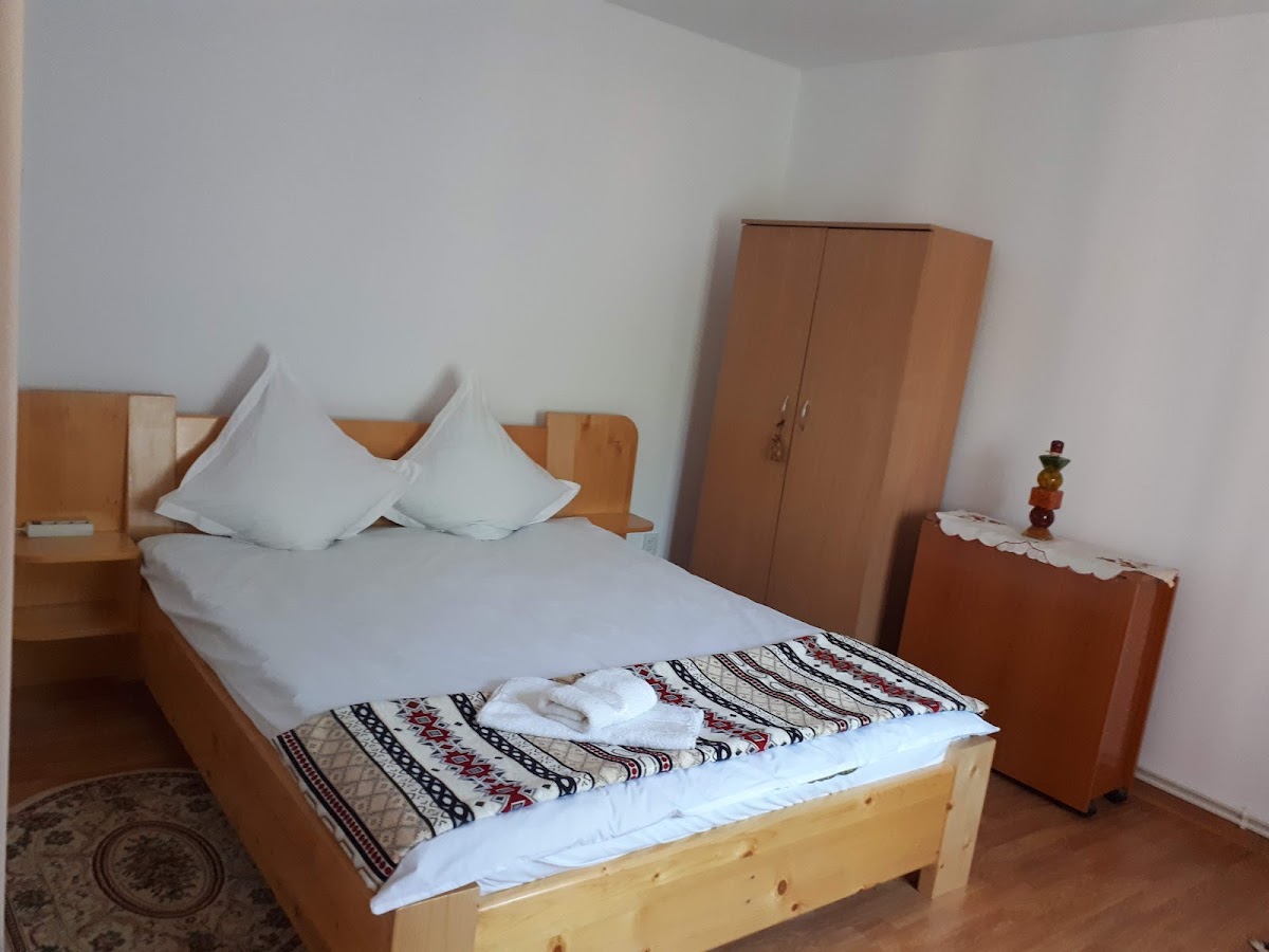 Cazare Nehoiu Pensiunea Casa Fetic