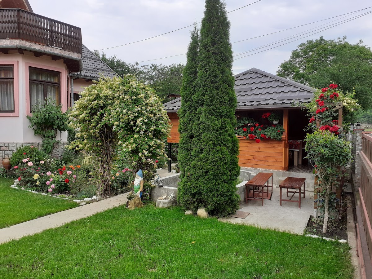 Cazare Nehoiu Pensiunea Casa Fetic