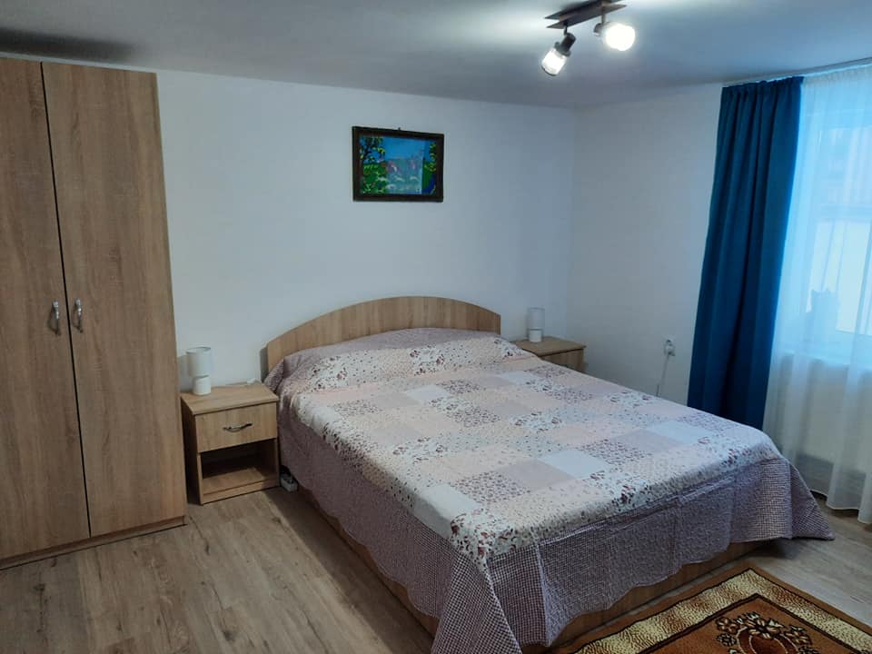 Hébergement chez Casa Dumitru et Elena Ciocanesti