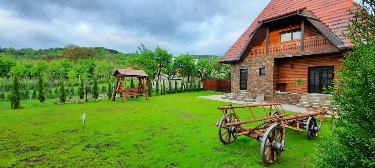 Accommodation Pensiuni Viseu - Pensiunea Piatra Șoimului