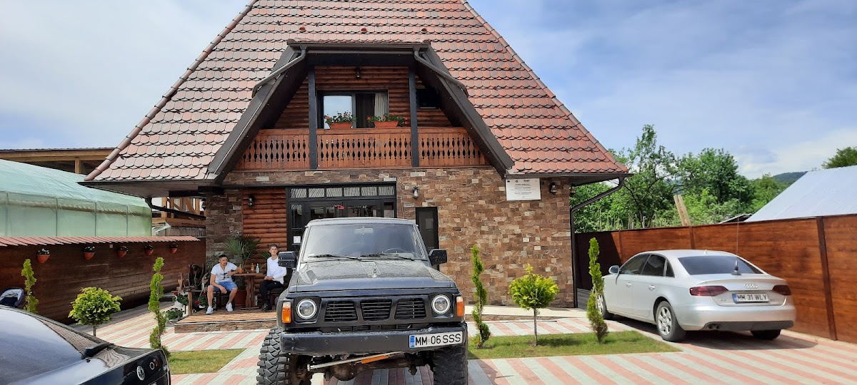 Accommodation Pensiuni Viseu - Pensiunea Piatra Șoimului