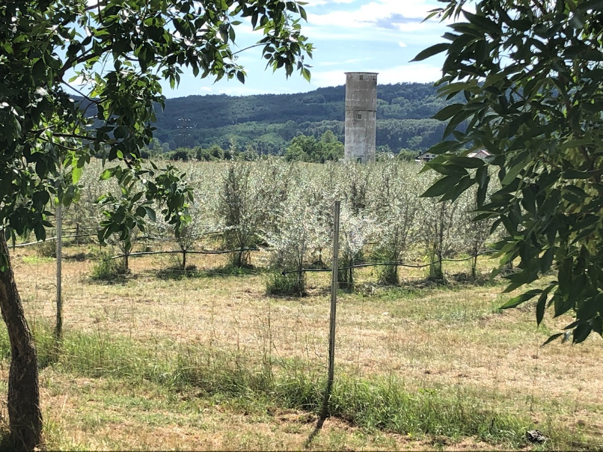 Accommodation Targu Carbunesti