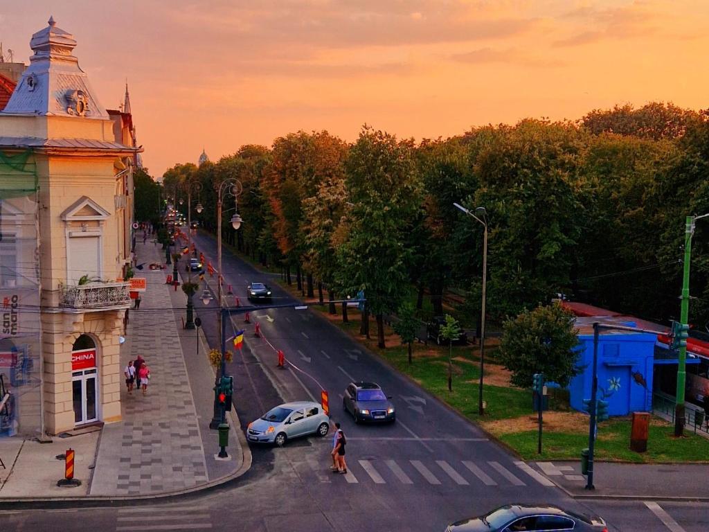 Central Epic Apartment, Arad