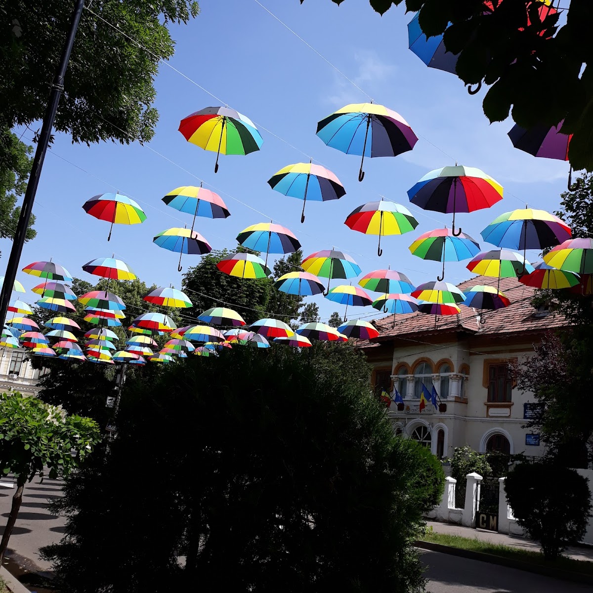 Central Park - foto 1