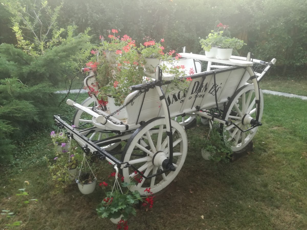 Centru de Evenimente - La Podgoria - foto 5