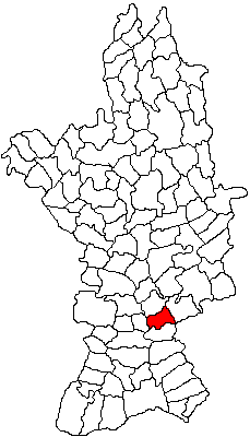 Centrul civic Băbiciu