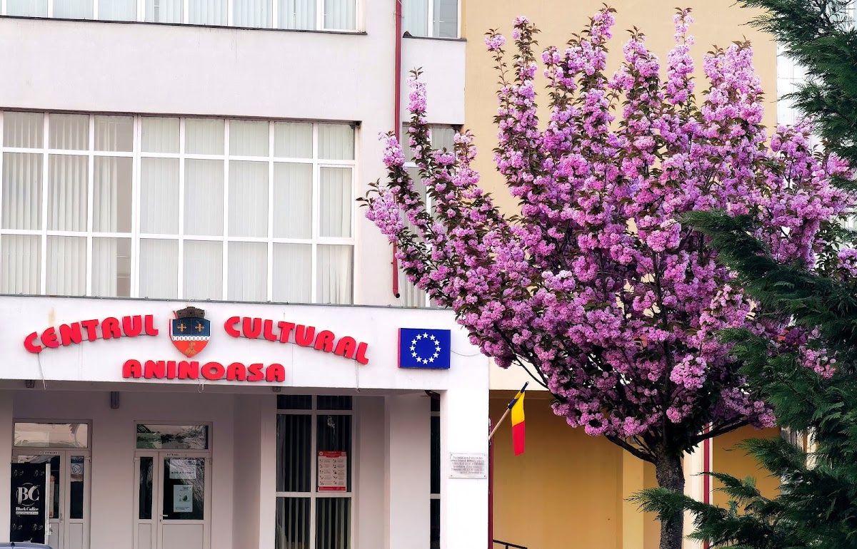 Centrul Cultural Aninoasa - foto 4