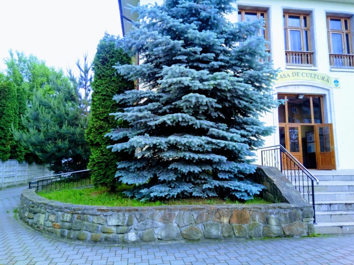 Centrul Cultural Cugir - foto 1