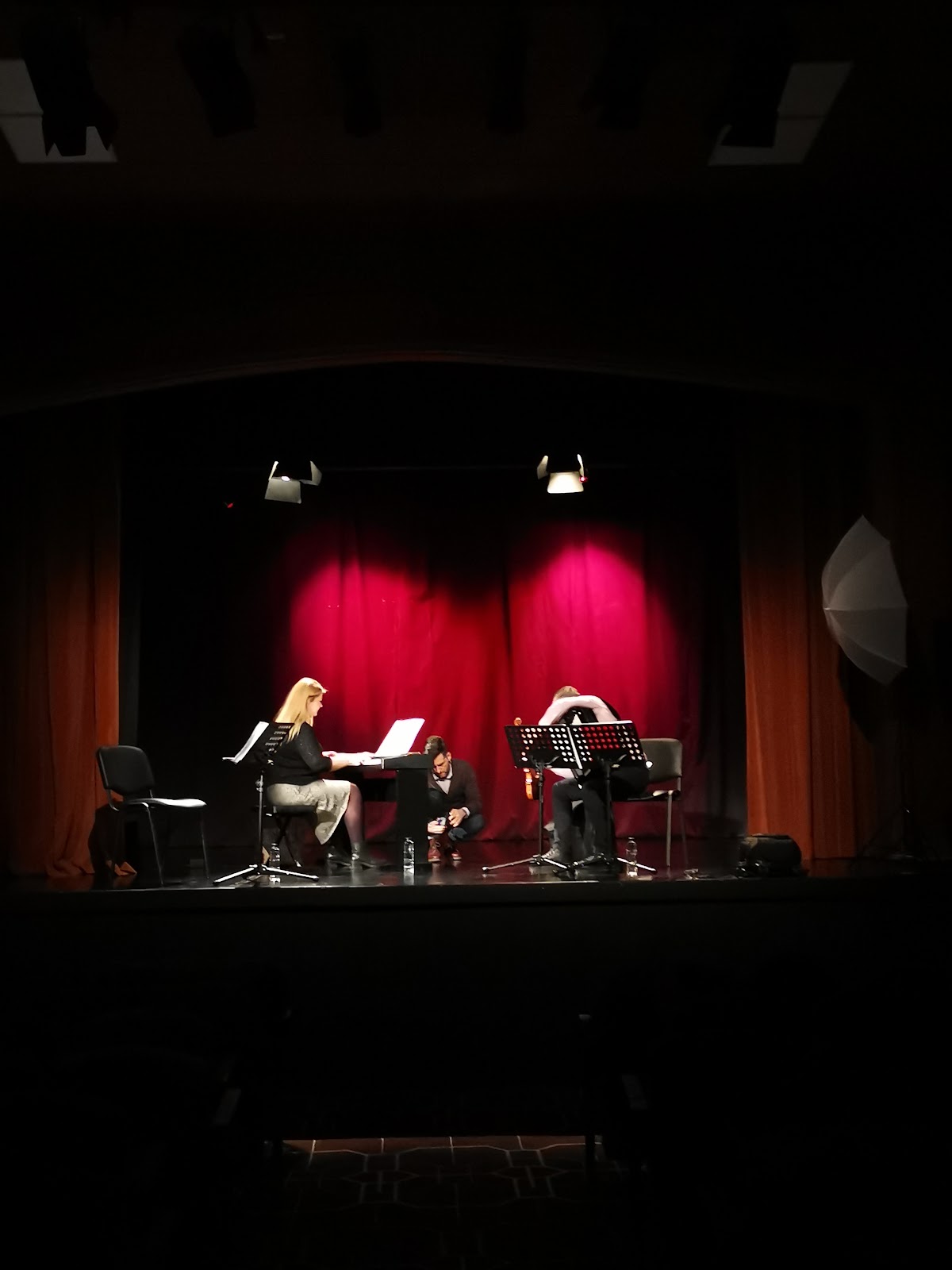 Europäisches Kulturzentrum Pucioasa - foto 4
