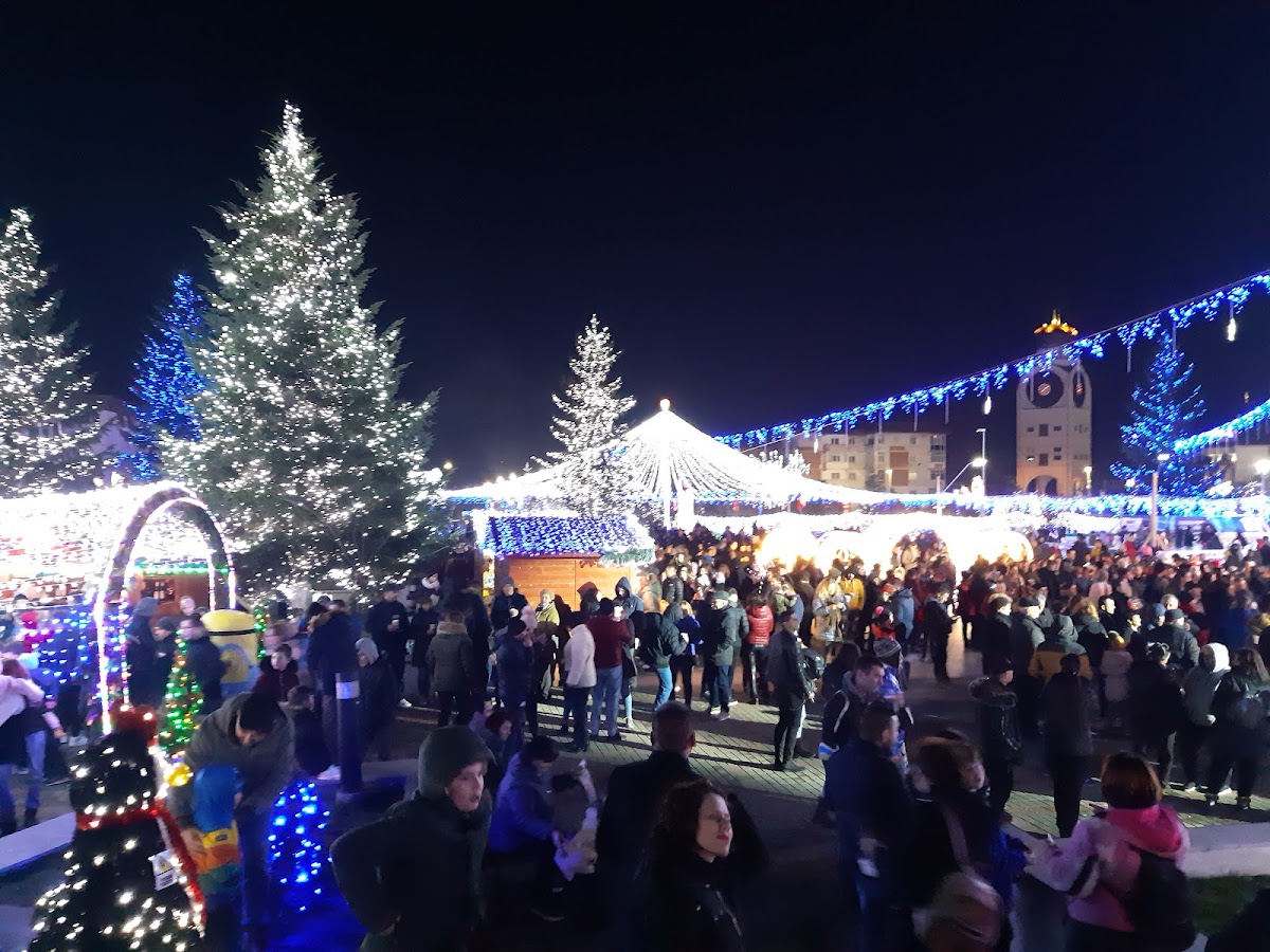 Mioveni Cultural Center - foto 2