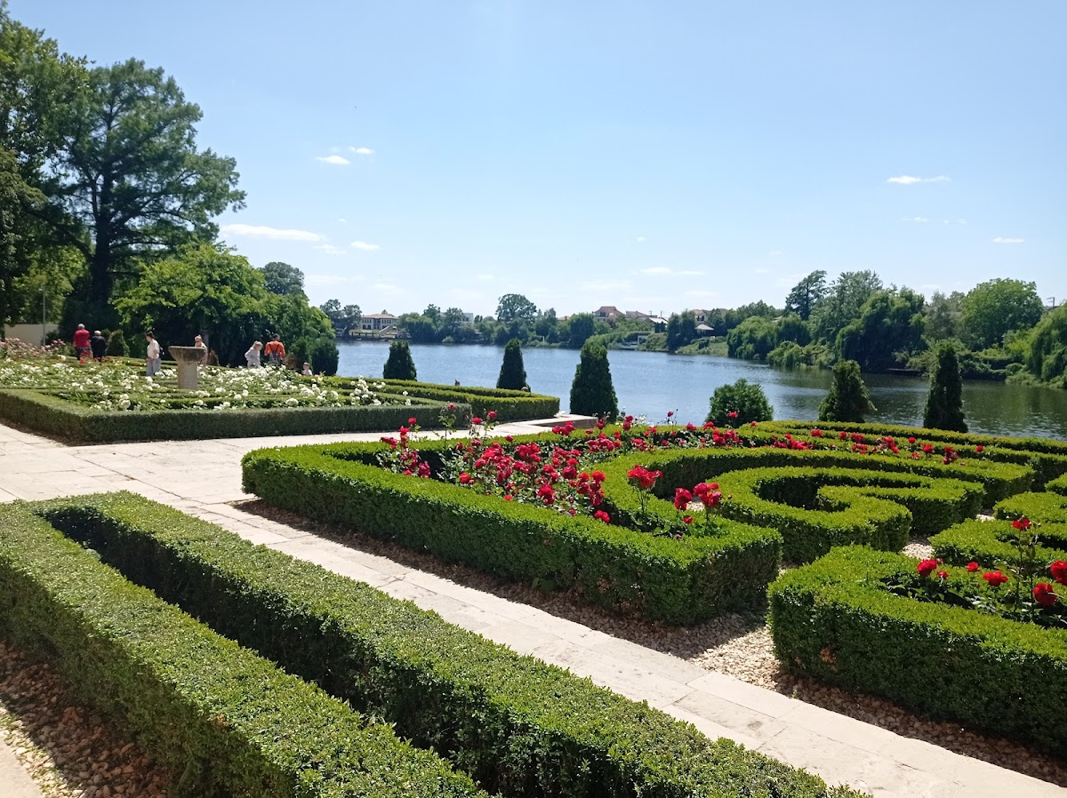 Centre Culturel "Palais Brâncovenești" - foto 4