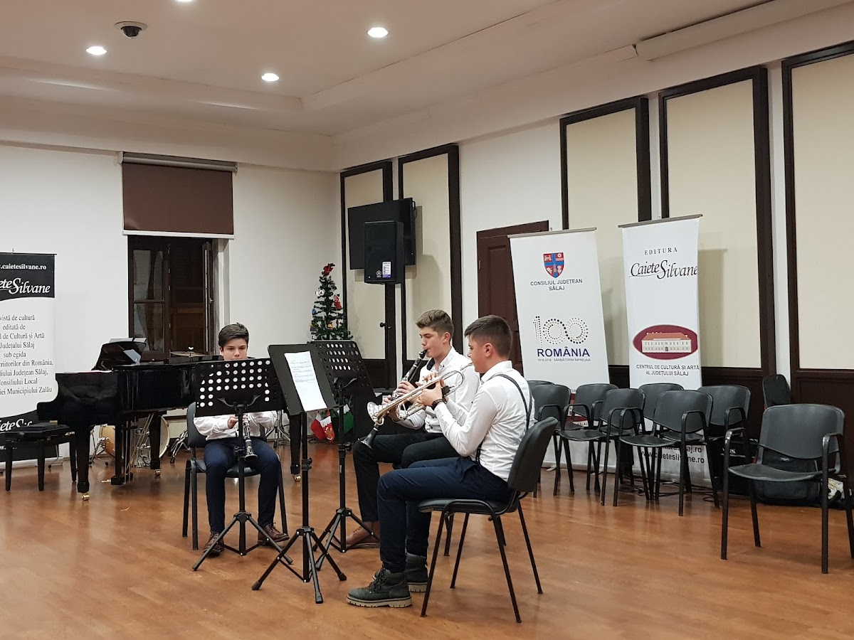 Centrul de Cultură şi Artă al Judeţului Sălaj - foto 3
