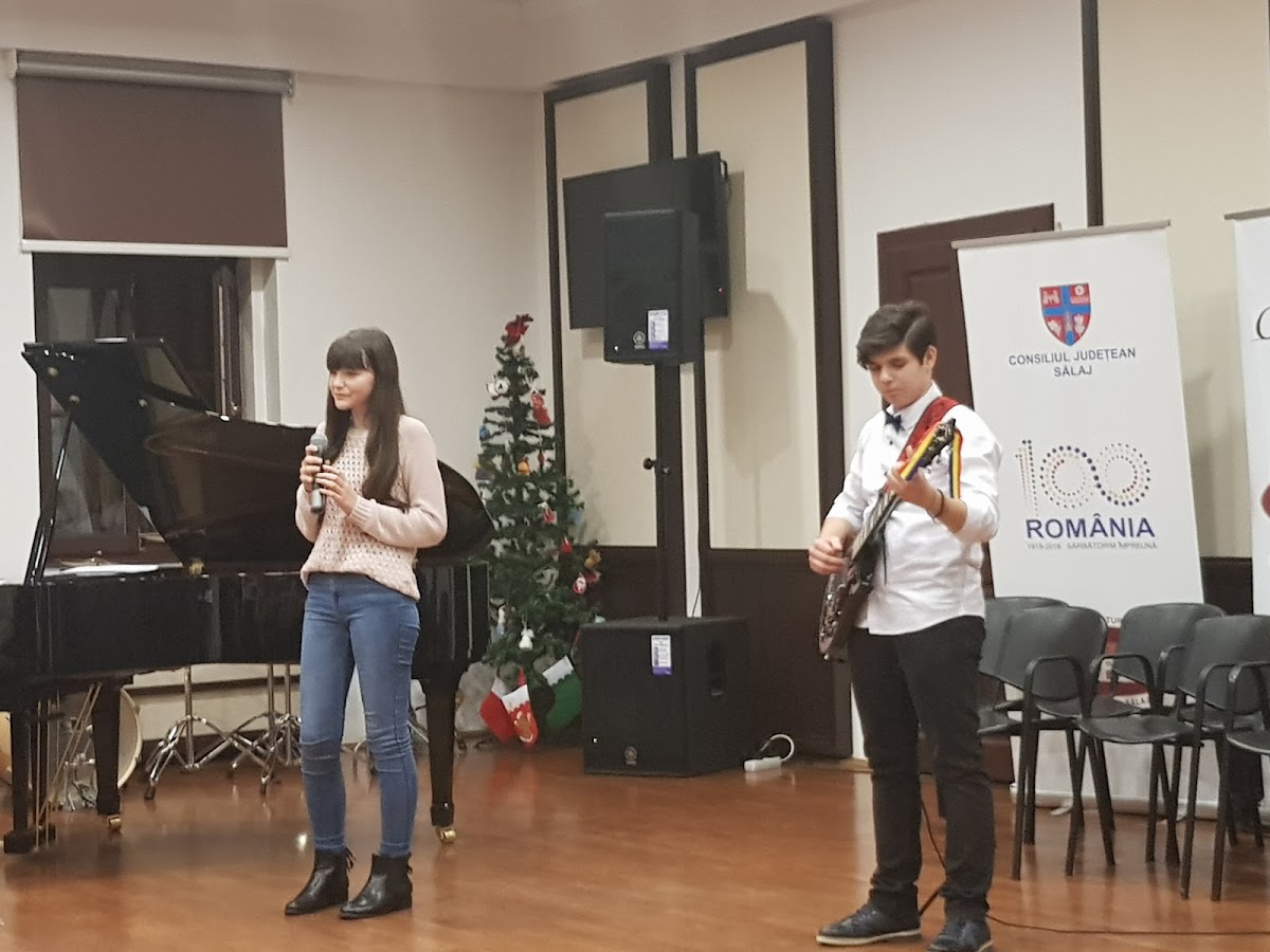 Centrul de Cultură şi Artă al Judeţului Sălaj - foto 5