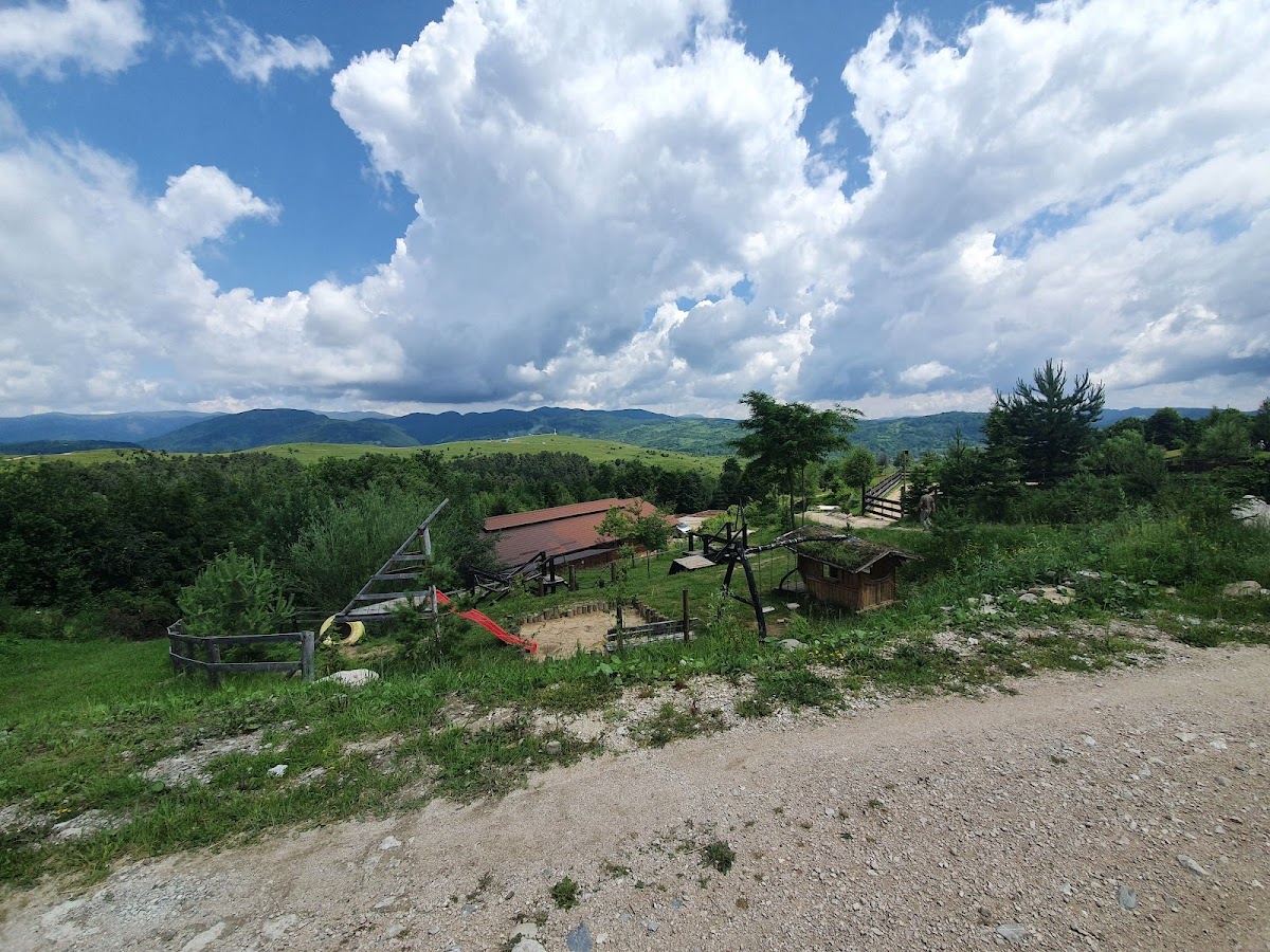Centrul De Echitație Potcoava - foto 2