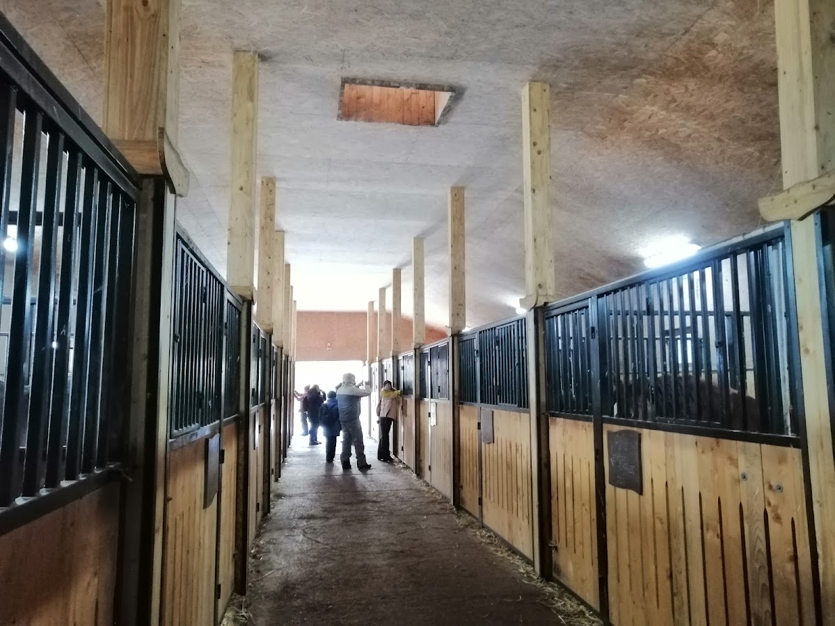 Centro Ecuestre de Toplița - foto 3