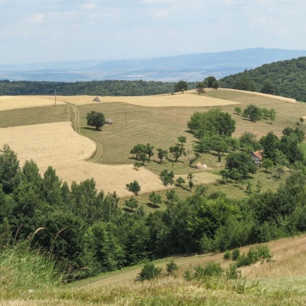 Centrul de Informare și Marketing Turistic - foto 3