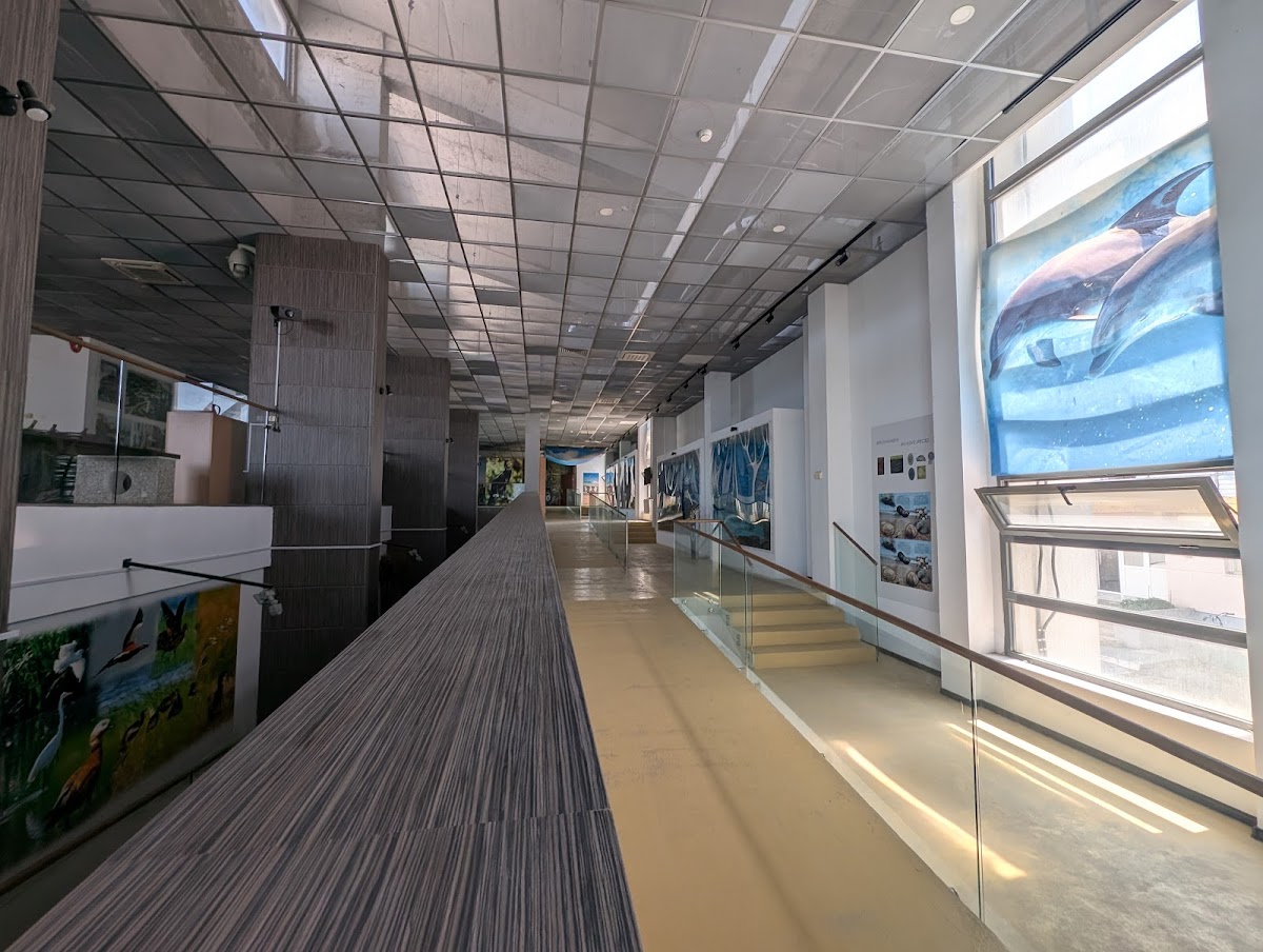 Centrul de Informare Turistică - foto 3