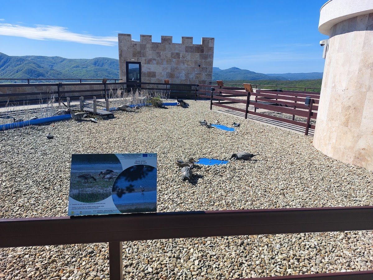 A Vaskapu Természetvédelmi Központ - foto 5