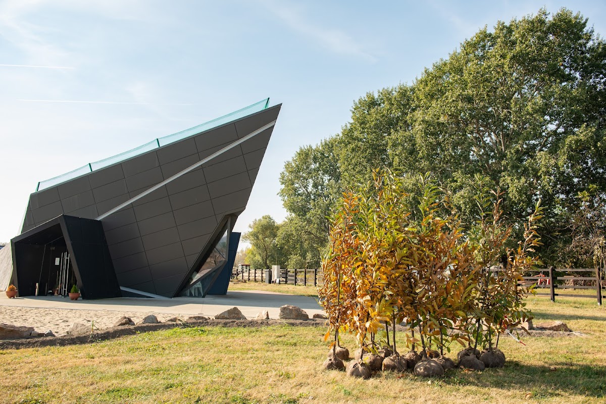 Centrul de vizitare Pecica - foto 2