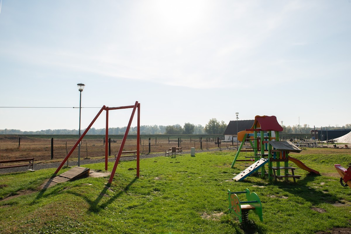 Centrul de vizitare Pecica - foto 4