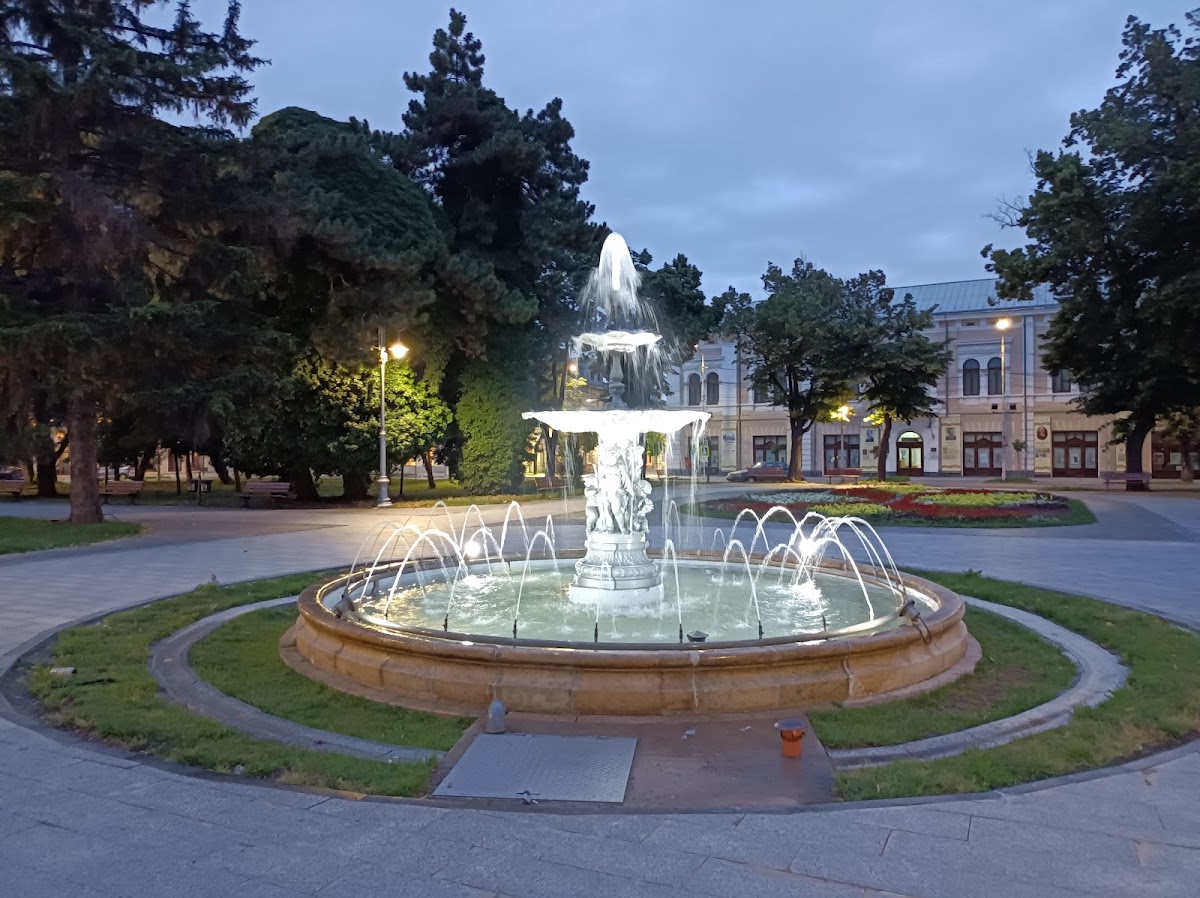 Centrul Istoric Brăila - foto 5